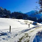 Hotel Le Grand Gstaad