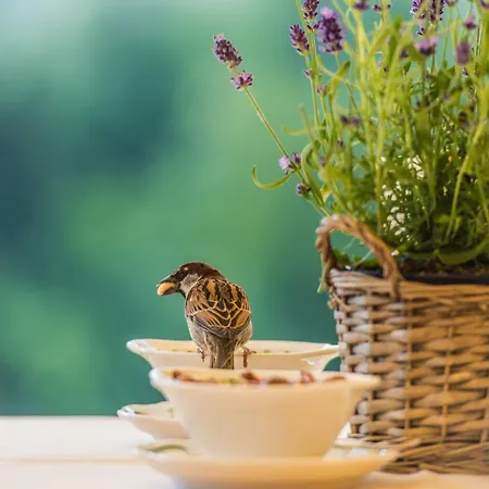 Hotel Le Grand Gstaad