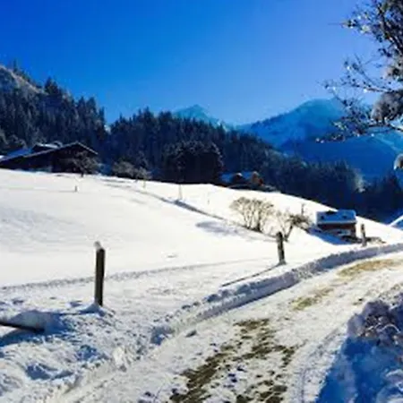Hotel Le Grand Gstaad
