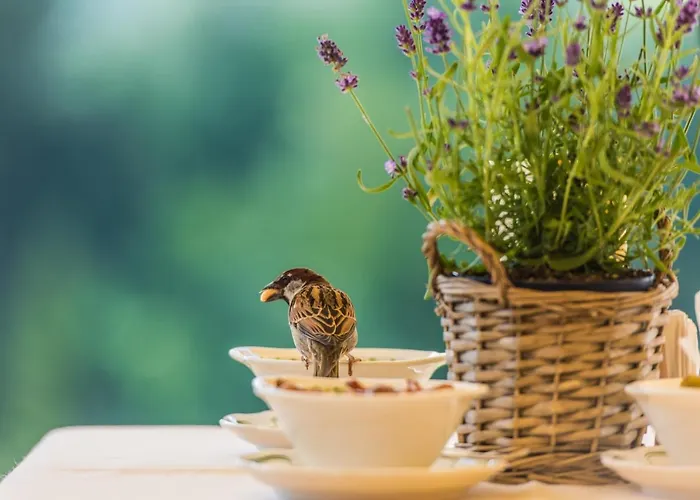 Hotel Le Grand Gstaad