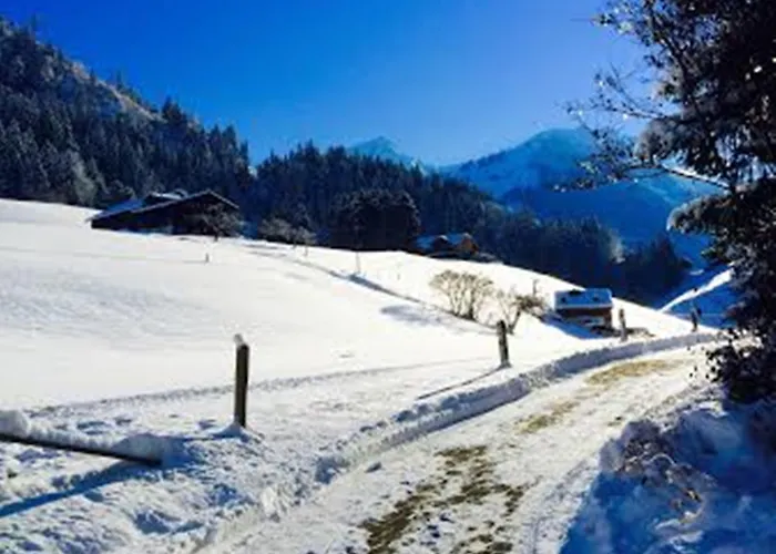 Hotel Le Grand Gstaad
