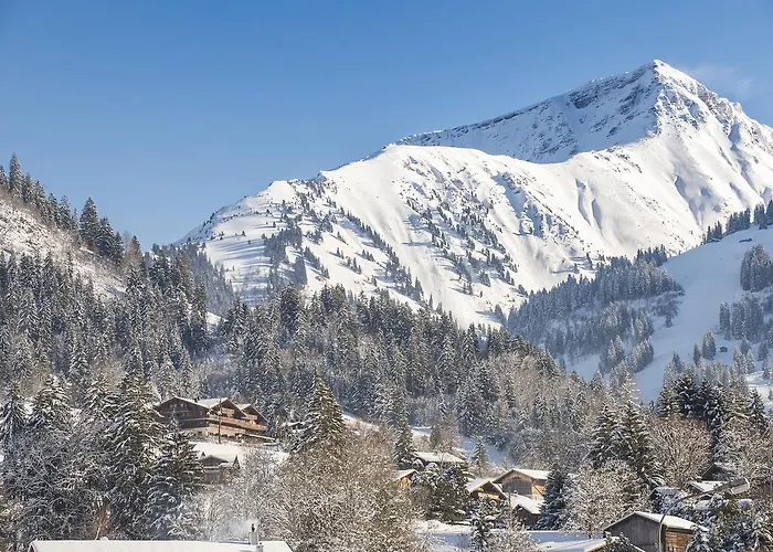 Hotel Le Grand 4*